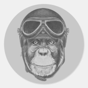 Sticker Rond Chimpanzé vintage