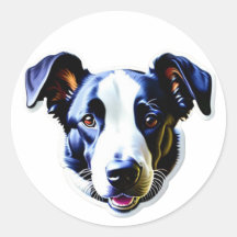 Chiot Chien Mignon, Joyeux Toutou #4
