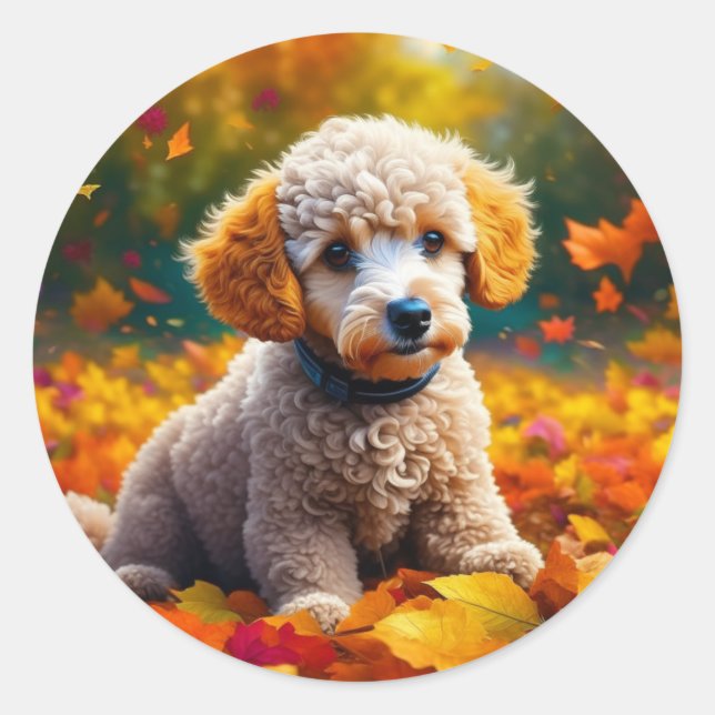 Sticker Rond Chiot de canicule d'abricot dans les feuilles d'au (Devant)