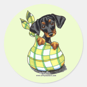 Sticker Rond Chiot de sac à Pinscher de dobermann