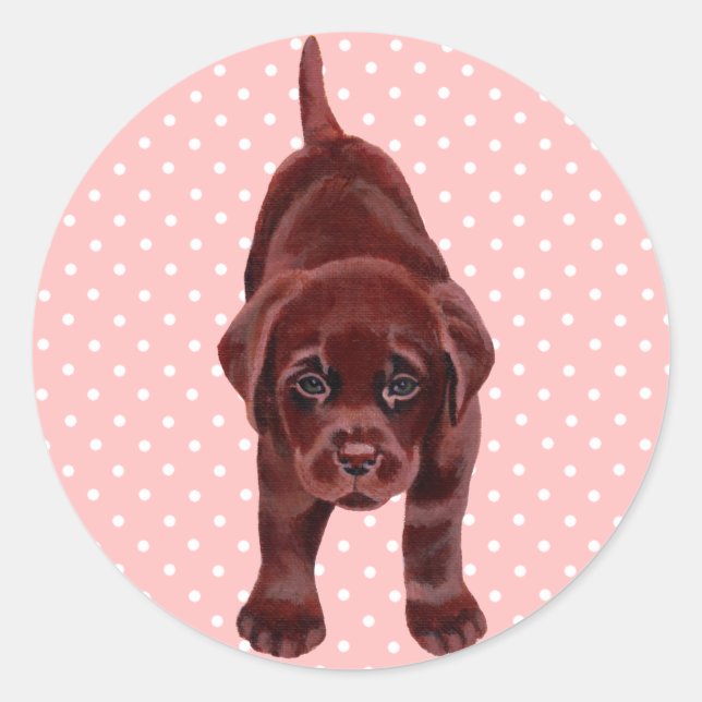 Sticker Rond Chiot du Labrador au chocolat (Devant)