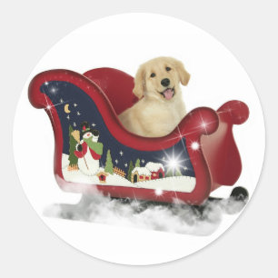 Sticker Rond Chiot Golden Retriever