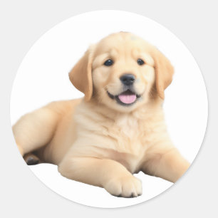 Sticker Rond Chiot Golden Retriever