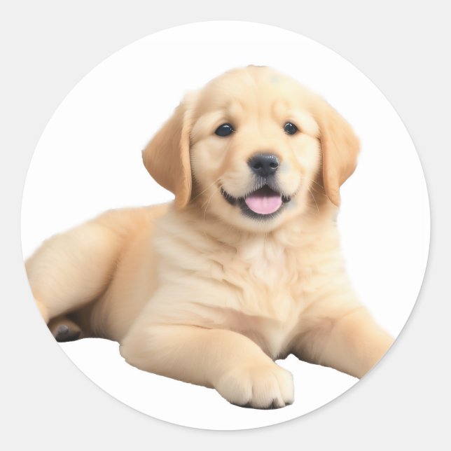Sticker Rond Chiot Golden Retriever (Devant)