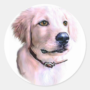 Sticker Rond Chiot Golden Retriever
