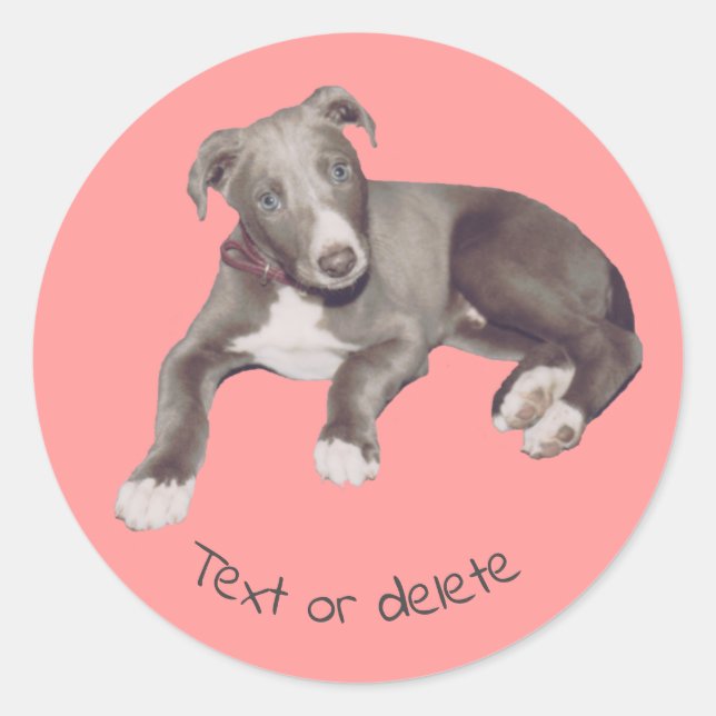 Sticker Rond Chiot gris bleu Personnalisé (Devant)