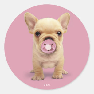 Sticker Rond Chiot mignon avec Pacificateur