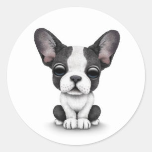 Sticker Rond Chiot mignon de bouledogue français sur le blanc