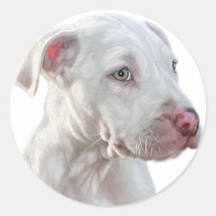 Sticker Rond Chiot Pitbull blanc