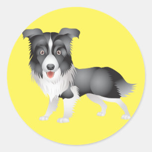 Sticker Rond Chiots Border Collie Noir Et Blanc Jaune