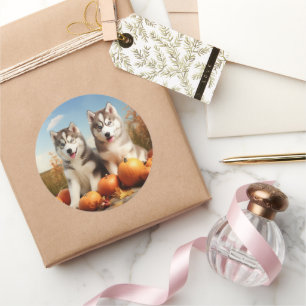 Sticker Rond Chiots Malamute d'Alaska Délice d'Automne Citrouil