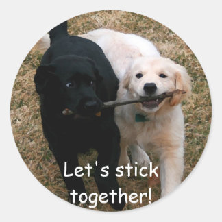 Sticker Rond Chiots noirs et blancs "coller ensemble" autocolla