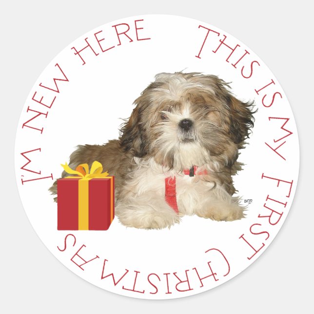 Sticker Rond Chiots Shih Tzu Premier Noël (Devant)