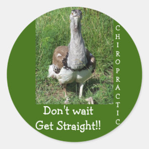 STICKER ROND CHIROPRATIQUE