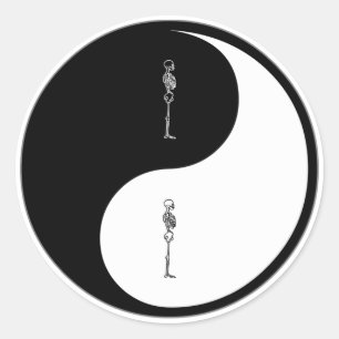 Sticker Rond Chiropratique Yin Yang