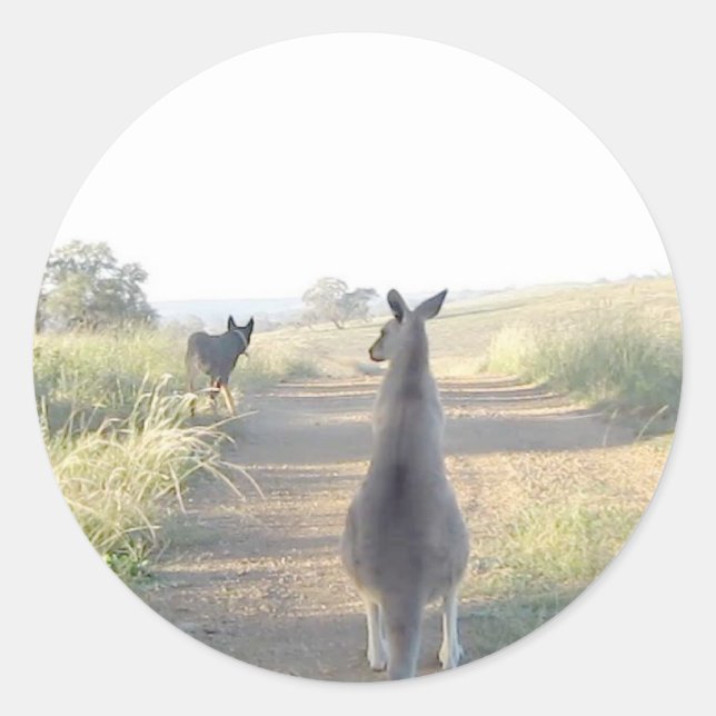 Sticker Rond Chloe le kangourou Sam le chien (Devant)