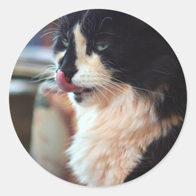 Sticker Rond Chloe Licks (Devant)