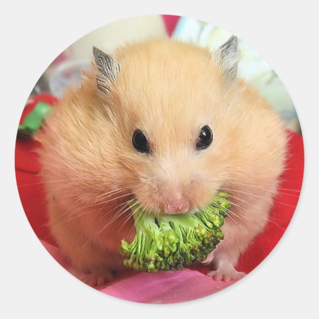 Sticker Rond Chmurka et brocoli (Devant)