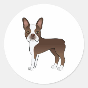 Sticker Rond Chocolat Brown Boston Terrier mignon chien de dess