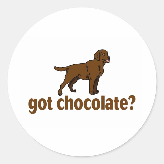 Sticker Rond Chocolat Labrador (Devant)