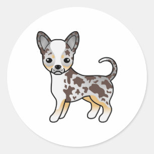 Sticker Rond Chocolat Merle Smooth Coat Chihuahua Cartographié 