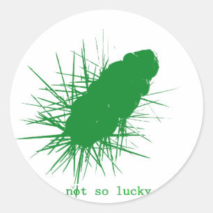 Sticker Rond Cholla pas aussi chanceux