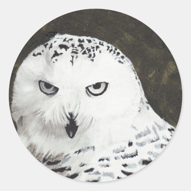 Sticker Rond Chouette des neiges (Devant)