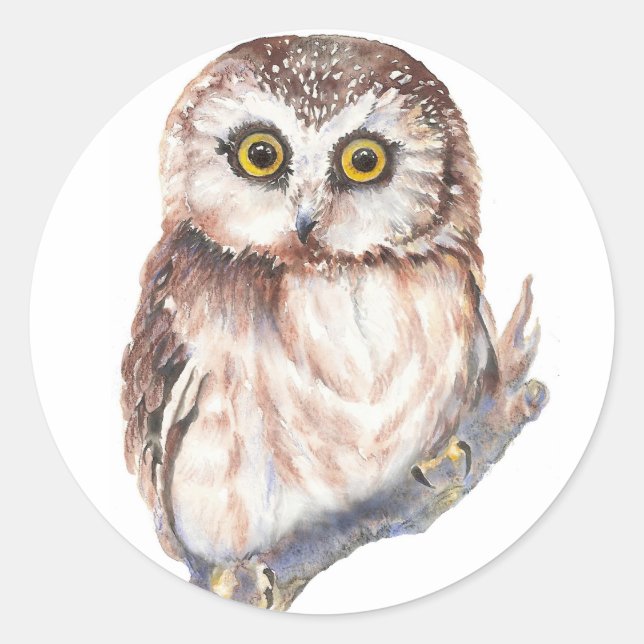 Sticker Rond Chouette mignonne, Aquarelle Nature des oiseaux, (Devant)