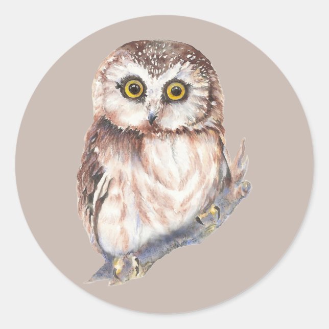 Sticker Rond Chouette mignonne, oiseau à l'aquarelle nature, (Devant)