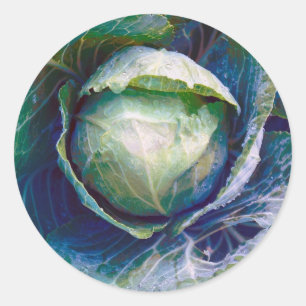 Sticker Rond Choux