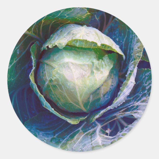 Sticker Rond Choux (Devant)