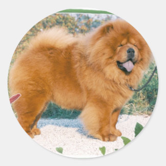 Sticker Rond Chow