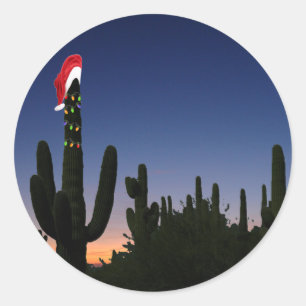 Sticker Rond Christmas Cactus