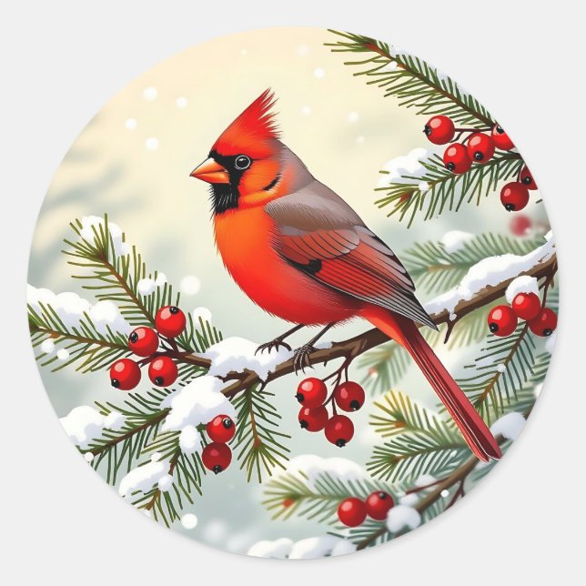 Sticker Rond Christmas Cardinal on snowy pine branch  (Devant)