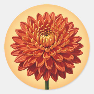 Sticker Rond Chrysanthème botanique rouge orange vibrant