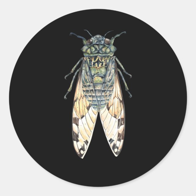Sticker Rond Cicada Insect Great Eastern Brood X Usa 2021 Magic (Devant)