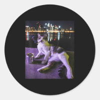 Cigarette Kitten Drôle Fumer Chat Mème Bra Stupide