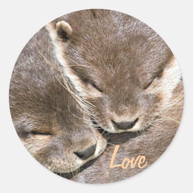Sticker Rond Citation d'amour - Otters (Devant)