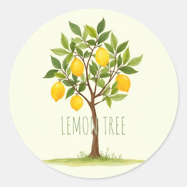 Sticker Rond Citronnier (Devant)