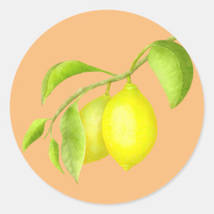 Sticker Rond Citrons sur une branche