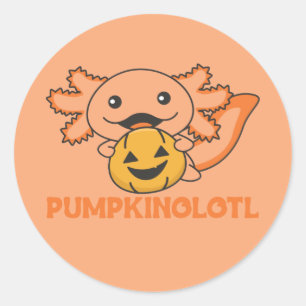 Sticker Rond Citrouille Axolotl Amateurs De Beaux Animaux Pour