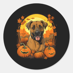 Sticker Rond Citrouille Chien Black Mouth Cur Halloween Thanksg