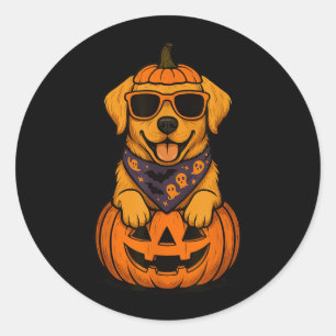 Sticker Rond Citrouille d'Halloween de Labrador Retriever jaune