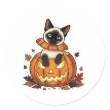 Citrouille Peek Siamese - Cute Halloween Siamese C