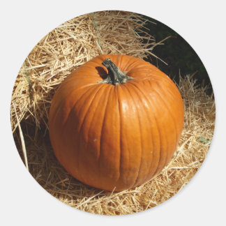Sticker Rond Citrouille sur Hay Bales