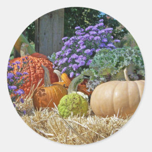 Sticker Rond Citrouilles Automne Tombe Fleurs Violettes Paix Am