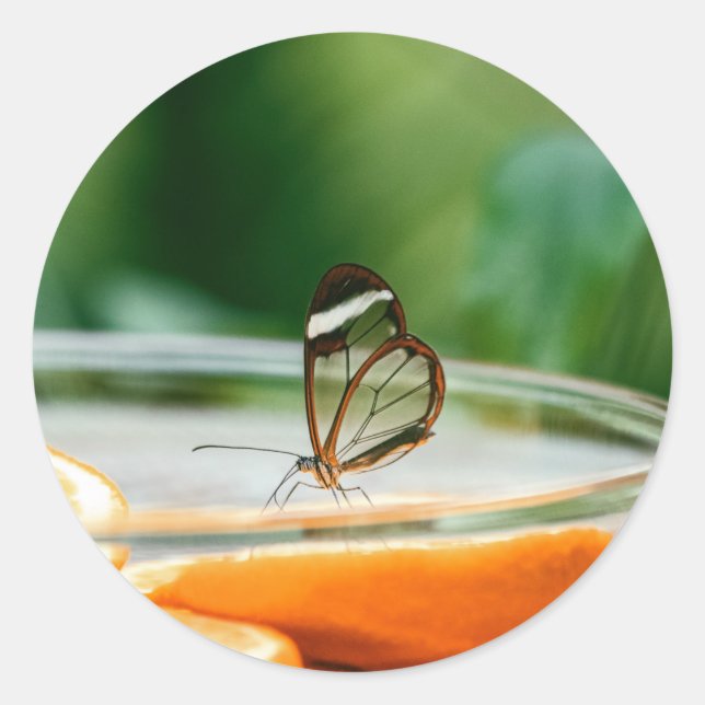 Sticker rond classique (Devant)