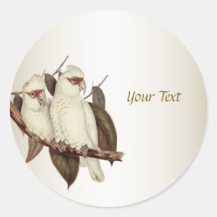 Sticker rond classique aux oiseaux blancs