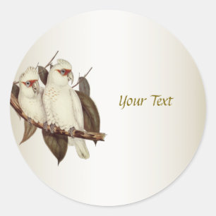 Sticker rond classique aux oiseaux blancs