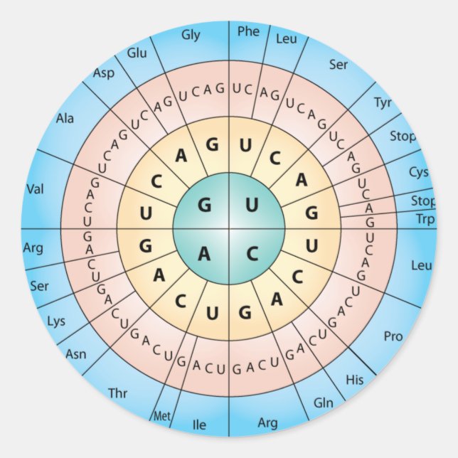 Sticker rond classique de code génétique (Devant)